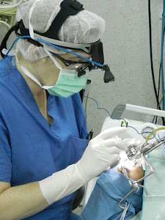 W4W5 Sponsor: Dr. Michelle Vessely